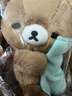 SAN-X輕松熊晚安系列熊弟公仔玩偶 毛絨玩具生日禮物送女友 曬單實(shí)拍圖