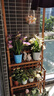 華觀(guān)家居（Home Giving Furniture）陽(yáng)臺花架客廳室內落地式實(shí)木多層置物防腐木多肉吊籃花架子可移動(dòng) 吊籃款三層62 帶輪款 可移動(dòng) 曬單實(shí)拍圖