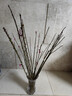 花翁水培鮮枝鮮花干枝花卉植物盆栽 紅梅鮮枝【70-80cm20枝】源頭直發(fā) 曬單實(shí)拍圖