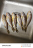 森農樂(lè )小黃魚(yú)生鮮黃花魚(yú)舟山野生鮮活冷凍海魚(yú)正宗深海冰鮮燒烤商用新鮮 5-6條/斤【3斤凈重 新鮮透骨】 曬單實(shí)拍圖