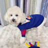 嬉皮狗（hipidog）秋冬季狗狗衣服瘋狂馬戲團針織衫棋盤(pán)格毛衣泰迪比熊小型犬狗服飾 邦迪藍【含帽子】 L （建議體重8-11斤） 曬單實(shí)拍圖