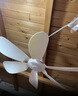 志高（CHIGO）小吊扇 小型電風(fēng)扇 小風(fēng)扇家用學(xué)生宿舍床上大風(fēng)力6頁(yè)蚊帳扇懸掛式微風(fēng)吊扇便攜小電扇 新升級-標配款6葉 曬單實(shí)拍圖