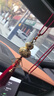 齊選葫蘆汽車(chē)香薰掛件車(chē)載后視鏡掛飾車(chē)內飾品高檔禮物男女士2026新款 純銅吉祥葫蘆【平安暴富-紅色流蘇】高檔禮盒 曬單實(shí)拍圖