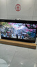海信電視E5Q 75英寸 抗反光防眩光墨晶屏 U+Mini LED  300Hz高刷 U+超畫(huà)質(zhì)引擎Pro 國家補貼 75E5Q 曬單實(shí)拍圖