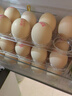 家の物語(yǔ)日本側門(mén)雞蛋收納盒冰箱用食品級保鮮盒廚房整理專(zhuān)用裝放蛋托神器 曬單實(shí)拍圖