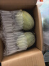 正宗哈密瓜西州蜜瓜當季網(wǎng)紋瓜9斤蜜瓜當季新鮮香瓜產(chǎn)地直發(fā) 9-10斤3-4個(gè)瓜 曬單實(shí)拍圖