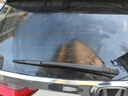 澳麟無(wú)骨后雨刮器本田新CR-V【17款-至今】后雨刷器crv后雨刮A級膠條 曬單實(shí)拍圖