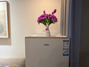 海爾（Haier）麥浪180升立式冰柜小型家用小冰柜風(fēng)冷無(wú)霜一級節能大容量變頻冷柜小冰箱BD-180WGHDGWF國家補貼 曬單實(shí)拍圖