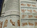 【真便宜】特效穴位對癥按摩治病速查全書(shū)正版 彩圖全解全身穴位一找就準人體經(jīng)絡(luò )穴位按摩書(shū)中醫推拿養生調理特效穴位按摩大全中醫養生書(shū)籍 特效穴位對癥按摩治病速查全書(shū) 曬單實(shí)拍圖