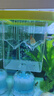 過(guò)凡（GUOFAN）亞克力漂浮孵化隔離盒方形小型魚(yú)苗母魚(yú)孵化器多功能孔雀魚(yú)繁殖器 曬單實(shí)拍圖