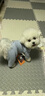 湯尼熊 TAWNEYBEAR小狗狗四腳打底衣服家居服睡衣德絨寵物泰迪比熊雪納瑞保暖春秋冬 四腳保暖衣【藍色】 M丨背長(cháng)29胸圍44建議5-8斤 曬單實(shí)拍圖