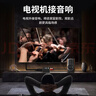臻威（ZHENWEI）HDMI ARC音頻轉換器 轉音頻線(xiàn)電視hdmi接音適用于小米/海信/TCL高清hdmi接音箱 曬單實(shí)拍圖