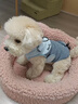 WAKYTU【設計師款】寵物衣服狗狗保暖泰迪幼貓冬天小犬衛衣適用11-15斤 曬單實(shí)拍圖