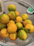 顧果鮮廣西脆皮金桔當季新鮮水果脆蜜滑皮小金桔青金橘脆甜整箱送禮 5斤 特大果【25-33個(gè)左右/斤】 曬單實(shí)拍圖