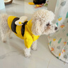 嬉皮狗（hipidog）寵物秋冬款衣服變身裝蜜蜂兩腳羽絨服小型犬保暖狗可牽引外出衣服 洛克黃 M （建議體重7-10斤） 曬單實(shí)拍圖