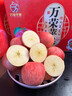 山西萬(wàn)榮禮盒蘋(píng)果（丑蘋(píng)果非禮盒）水果紅富士京東物流產(chǎn)地直發(fā) 紙加膜特大果帶箱10斤裝90-100mm以上凈重8.5斤12-15個(gè) 曬單實(shí)拍圖