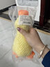 華元寵具（hoopet）狗狗玩具發(fā)聲自嗨解悶毛絨玩偶黃鴨小狗磨牙神器耐咬逗狗寵物用品 曬單實(shí)拍圖