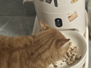meoof覓凹蛋卷自動(dòng)喂食器貓咪狗狗投食機定時(shí)定量攝像頭可視+32G存儲卡 曬單實(shí)拍圖