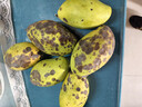 鮮福林現貨越南進(jìn)口玉芒青芒水果當季新鮮甜心芒果大芒果包郵 凈重4.5斤(單果200g起) 曬單實(shí)拍圖