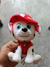 汪汪隊立大功（PAW PATROL）汪汪隊玩具毛絨全套狗狗玩偶公仔男女孩玩具旺旺隊生日禮物 經(jīng)典款-毛毛公仔【需選尺寸】 小號-坐高約15.2CM 曬單實(shí)拍圖