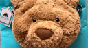 Jellycat巴塞羅熊挎包毛絨玩具兒童包包玩偶公仔2025新品生日新年禮物 棕色 One Size 曬單實(shí)拍圖