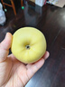 秦悅仙果鮮正宗山東黃金維納斯蘋(píng)果水果奶油新鮮整箱送禮品物盒年貨節 凈重4.5斤【單果160g+】丨很甜 【百里挑一】10年精選果 曬單實(shí)拍圖