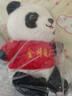 博士熊貓毛絨玩具可愛(ài)布娃娃公仔學(xué)生畢業(yè)季熊貓禮物logo玩偶批發(fā) 穿衣熊貓--金榜題名 25厘米 曬單實(shí)拍圖