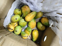 海南三亞小臺農大果當季臺農芒芒果皮薄肉厚純甜無(wú)絲爆汁【活動(dòng)】 單果60g+（帶箱子2斤）凈重1.5-1.8斤 曬單實(shí)拍圖