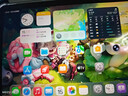 Apple 蘋(píng)果平板電腦 iPad mini6 2021新款 8.3英寸 二手平板電腦 紫色 64G WiFi 曬單實(shí)拍圖