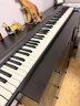 特倫斯電子琴88鍵折疊琴成人兒童初學(xué)電鋼鍵盤(pán)教學(xué)樂(lè )器V10便攜鋼琴 V10典雅黑+延音踏板+原裝琴包 曬單實(shí)拍圖