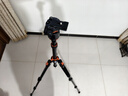 卓爾相機三腳架單反專(zhuān)業(yè)攝影相機支架三角架便攜旅行迷你手機微單拍照攝像液壓阻尼云臺直播腳架 曬單實(shí)拍圖