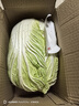 山東霜打黃心大白菜新鮮超市品質(zhì)采摘地里現拔農家自種 大白菜5斤-5.5斤 曬單實(shí)拍圖