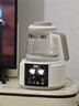 貝因美（Beingmate）恒溫水壺 恒溫壺嬰兒調奶器溫熱暖奶器家用沖奶粉電熱燒水養生壺 曬單實(shí)拍圖