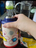 babycare兒童保溫杯嬰兒寶寶吸管水杯霸王龍不銹鋼保溫杯300ml-新舊款混發(fā) 曬單實(shí)拍圖
