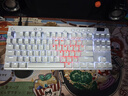 羅技（G）PRO X TKL RAPID/GPW RT快銀磁軸電競鍵盤(pán) FPS/無(wú)畏契約  RT快速觸發(fā)（白色） 曬單實(shí)拍圖
