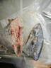 南海東沙大鲅魚(yú)馬鮫魚(yú)冰凍馬友魚(yú)廣東新鮮海魚(yú)肉多無(wú)刺順豐冷鏈 1-2斤/條 3斤（殺后有微損） 曬單實(shí)拍圖