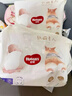 好奇（Huggies）軟萌星人柯基褲拉拉褲XL28片(12-17kg)尿不濕【軟糯貼貼】 曬單實(shí)拍圖