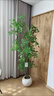 智宙南天竹仿真綠植高端輕奢室內大型落地盆栽客廳裝飾擺件仿生假花樹(shù) 1.6米4桿加密南天竹 原盆一體(送椰絲+吊牌) 曬單實(shí)拍圖