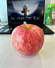 四叔公果蔬紅富士蘋(píng)果【多地次日達】脆甜當季新鮮運城蘋(píng)果水果禮盒 5A精品果（較甜） 75-80mm 5斤裝【超值推薦-80%選擇*】?jì)?.5斤 曬單實(shí)拍圖