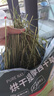 牛寵25年新草進(jìn)口提摩西草烘干苜蓿草兔子曬干草荷蘭豬兔草飼料燕麥草 烘干多葉提摩西草 凈重1000g 牧草 曬單實(shí)拍圖