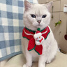 嬉皮狗（hipidog）新品冬季圣誕風(fēng)泰迪博美狗狗衣服保暖毛衣馬甲衣服寵物小型犬衣服 德羅紅 L （建議體重10-14斤） 曬單實(shí)拍圖