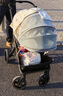SMVP嬰兒車(chē) 蚊帳全罩式通用推車(chē)防蚊蟲(chóng)加密網(wǎng)紗罩透氣可折疊帶拉鏈 白色小熊刺繡款 曬單實(shí)拍圖