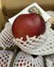 花牛蘋(píng)果 甘肅當季新鮮紅蛇粉面蘋(píng)果嬰兒輔食水果中秋禮盒送禮 花牛蘋(píng)果凈重8.5斤85MM+ 曬單實(shí)拍圖
