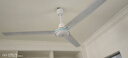 奧克斯電風(fēng)扇吊扇家用商用1.4米白色吊頂風(fēng)扇工業(yè)工廠(chǎng)車(chē)間客廳三葉遙控吊扇大風(fēng)力降溫 【升級電機】56寸三葉吊扇+多檔調速 曬單實(shí)拍圖