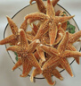 通用海星中藥材新貨刺棘海星深海大海五星海盤(pán)車(chē)干貨煲湯泡酒料 海星250克【實(shí)惠裝】 曬單實(shí)拍圖