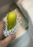 東方甄選白玉黃瓜脆嫩多汁當季新鮮果蔬時(shí)令生鮮整箱壞果包賠順豐 【2斤裝】到手7-12根 2斤 曬單實(shí)拍圖