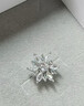 BJYL胸針男款西裝設計感小眾高檔胸花六芒星防走光扣簡(jiǎn)約衣服配飾禮物 雪花胸針 曬單實(shí)拍圖