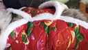 萌嘟星寵 寵物狗狗衣服貓咪小狗小貓小型犬幼犬新年保暖服飾東北大花襖3XL 曬單實(shí)拍圖