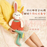 萬(wàn)火兔子玩偶新年禮物兒童女孩生日禮物女童兒童毛絨玩具3-6歲1歲寶寶 曬單實(shí)拍圖