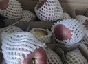 正宗秦冠粉面蘋(píng)果粉糯新鮮老人小孩輔食可刮泥新鮮蘋(píng)果可脆可粉 帶箱9斤特惠大果70mm+剛收到脆放幾天粉面 曬單實(shí)拍圖
